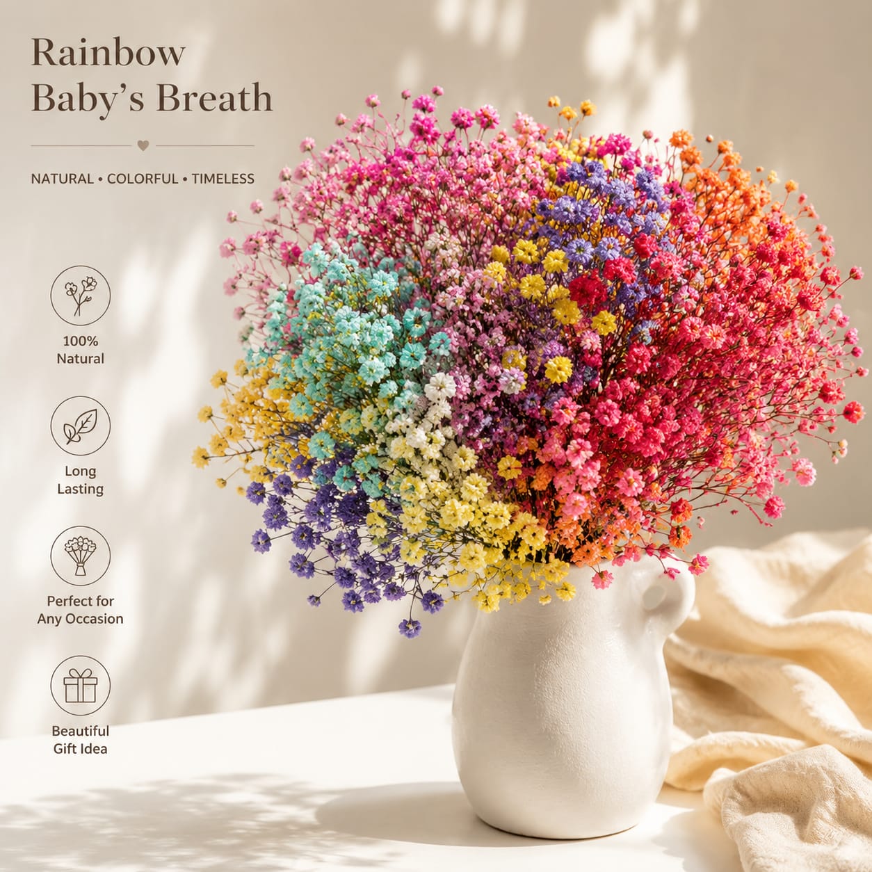 Gypsophila Dried Flower Stems